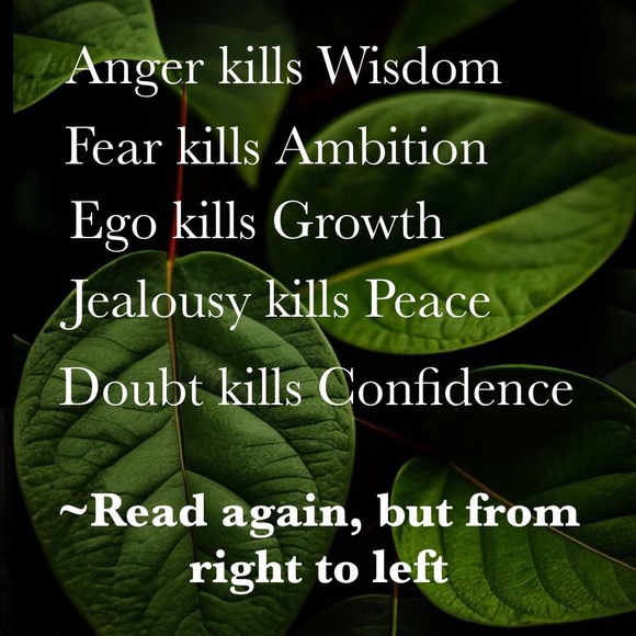 POSH CHAT WILL BE BACK! TBD - Picture 14 of 15